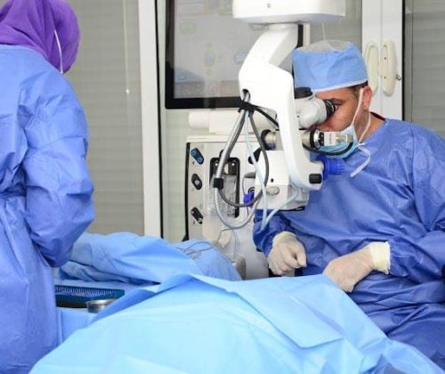 242062695_10157942528410997_8633183356359311682_n